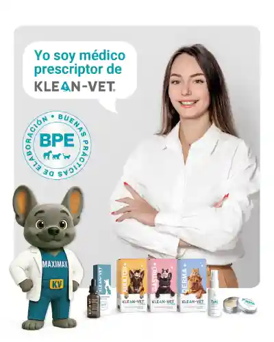 Suplementos