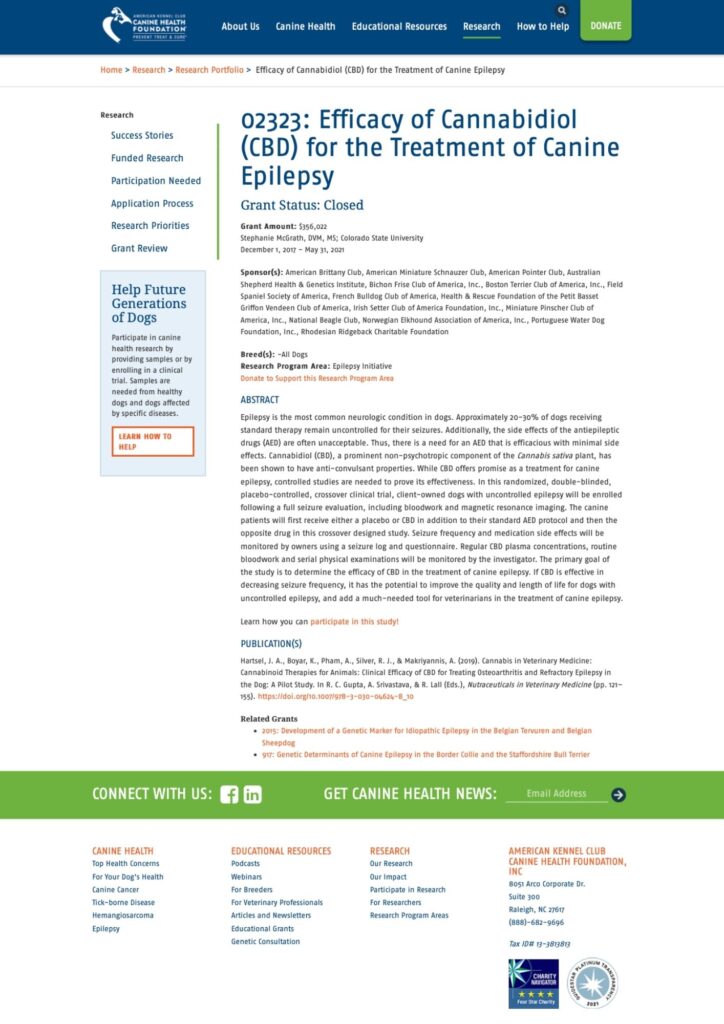 Epilepsia 1