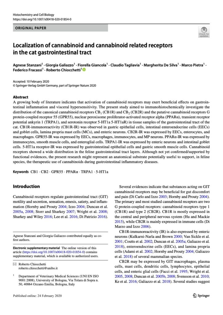 Gastroenterologia 31