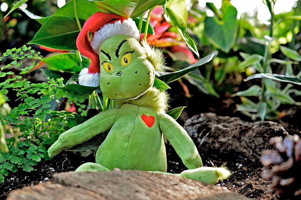 greench