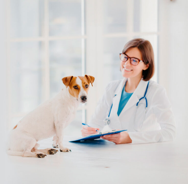 Fotografía de un veterinario y un perro mirando a la cámara sentado en una mesa.