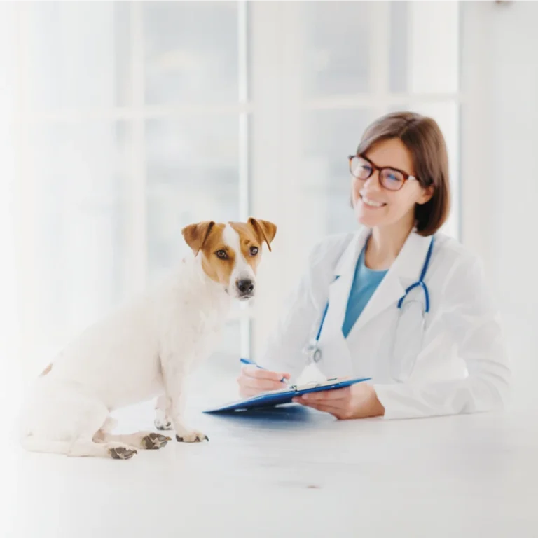 veterinario al lado de un perro que esta mirando a la camara