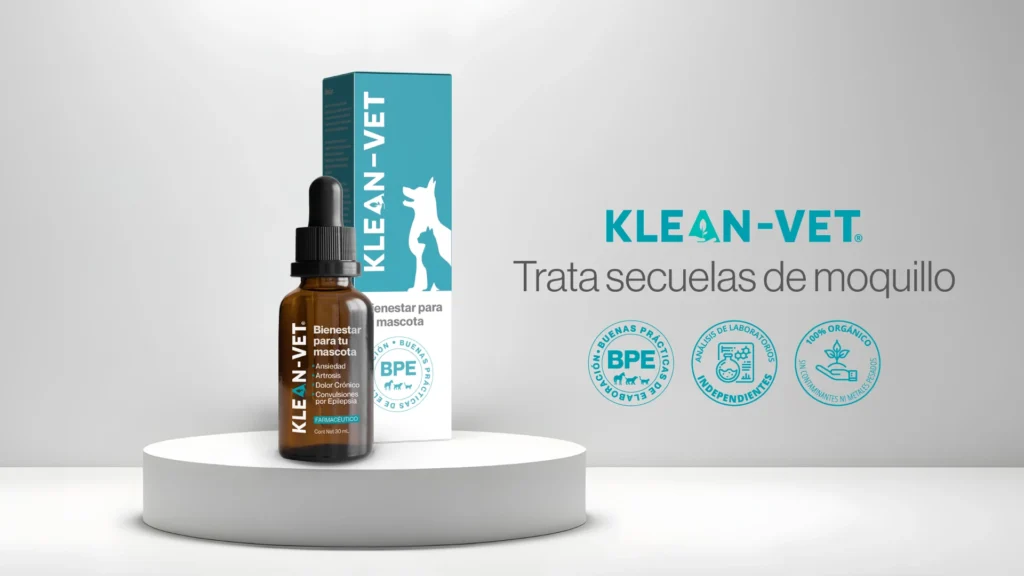 cura para el moquillo en perros