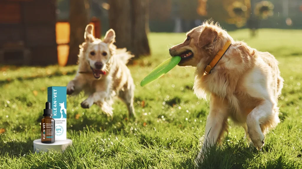 Klean-Vet y los tratamientos para la sarna en perros
