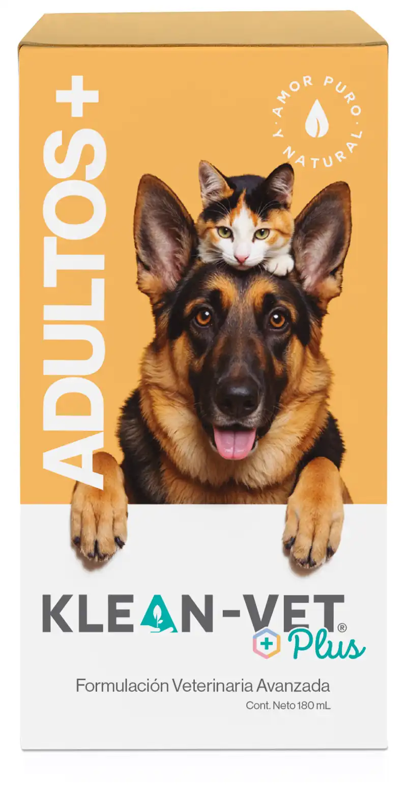CAJA ADULTOS 2