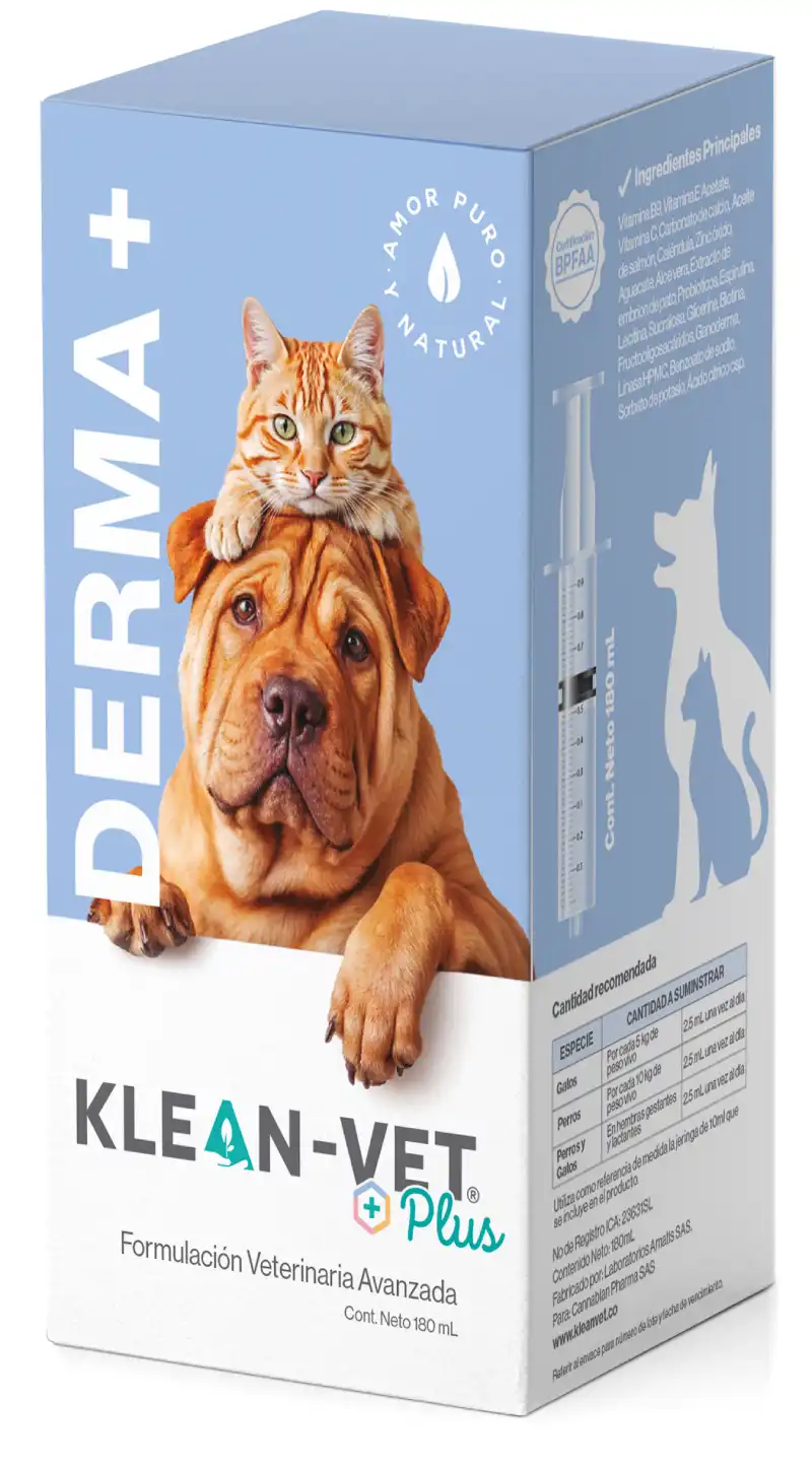 CAJA DERMA 2