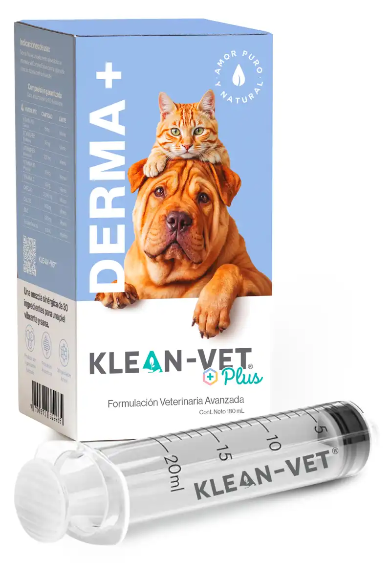 CAJA JERINGA DERMA 1