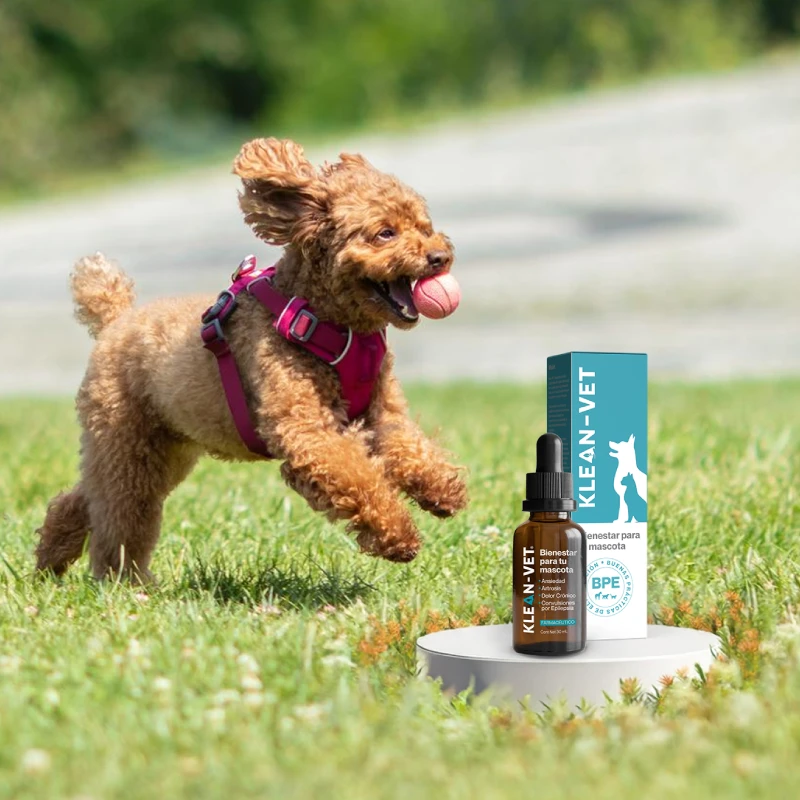 antiinflamatorio mascotas
