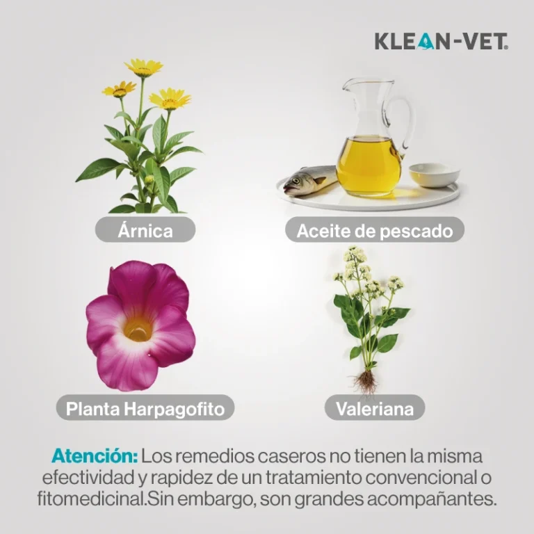 remedios caseros