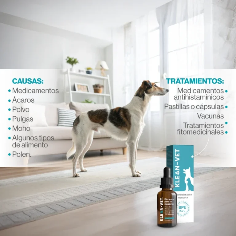 ALERGIAS 03
