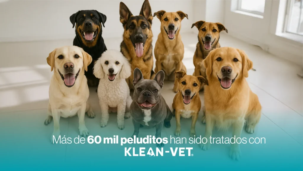 remedio para el cáncer