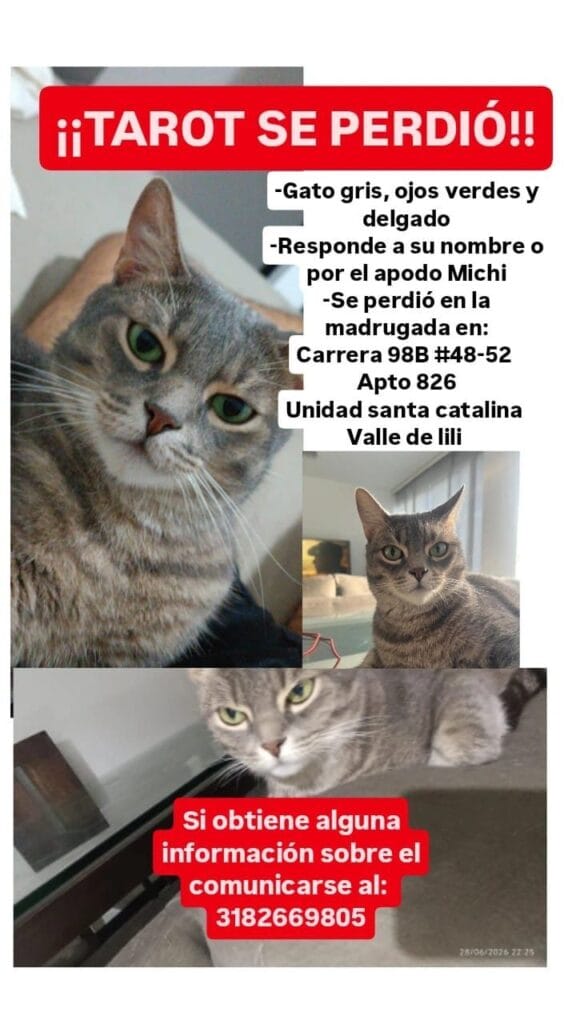Foto de Tarot reportada en Valle Del Lili, Cali
