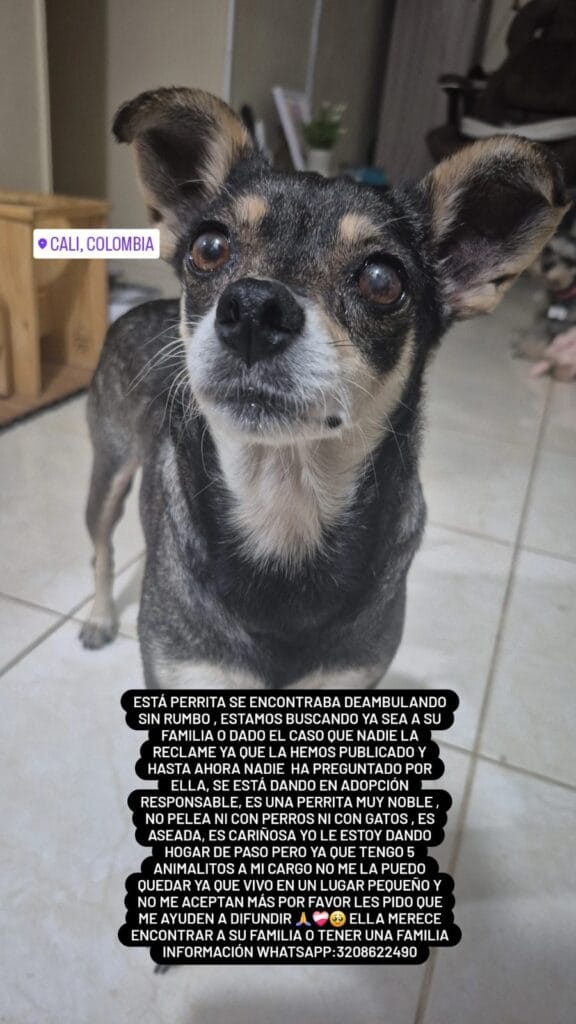 Foto de Sin Nombre reportada en Ciudad 2000, Cali - Valle Del Cauca