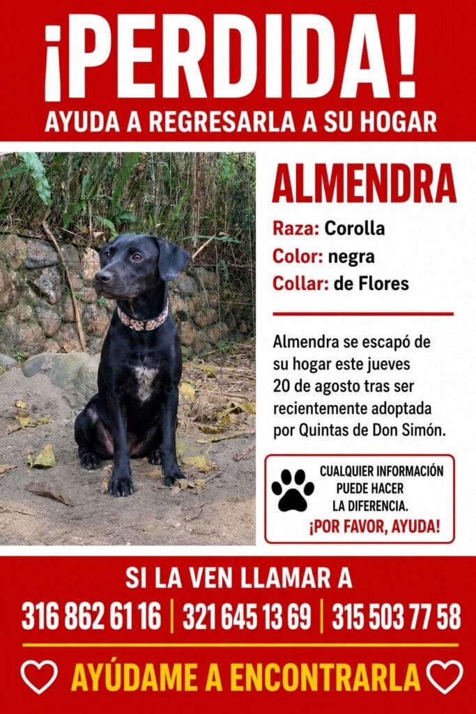 Foto de Almendra reportada en Quintas De Don Simon, Cali