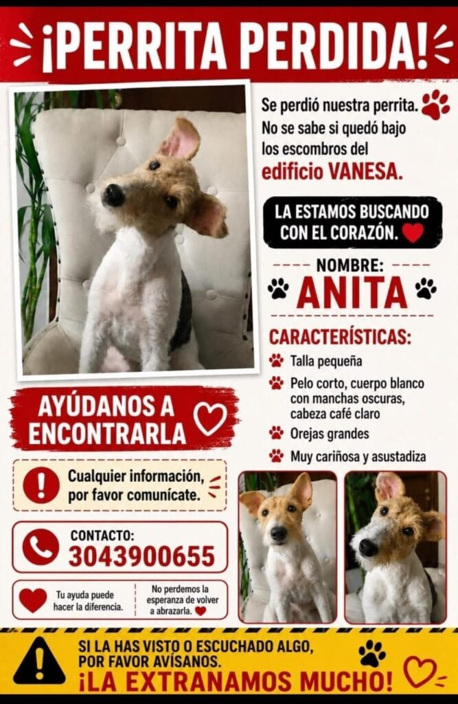 Foto de Anita reportada en Edificio Vanessa, Cali