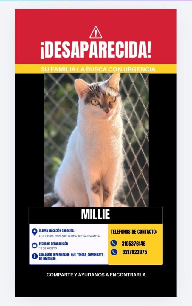 Foto de Millie reportada en Guadalupe, Cali Colombia