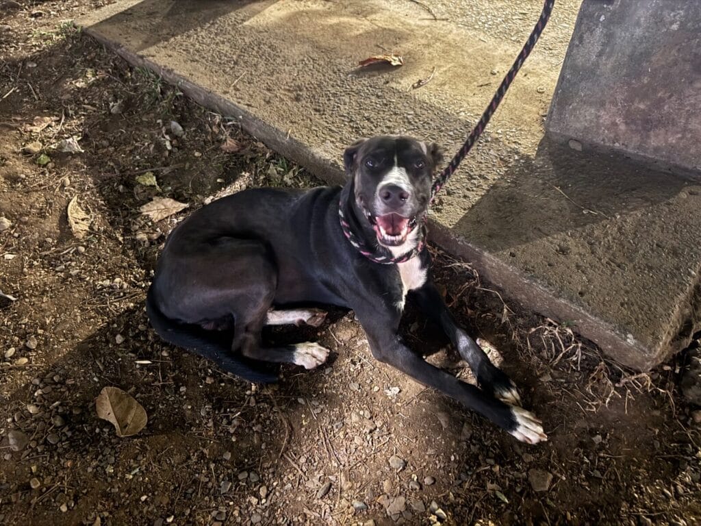 Foto de Sin Nombre reportada en Parque Del Ingenio, Cali